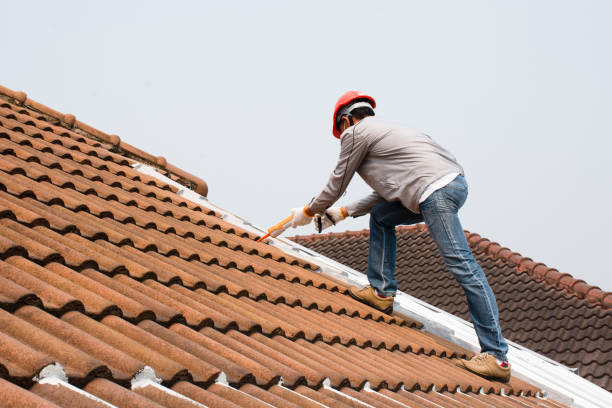Best Roof Insulation Installation  in Phoenix, IL
