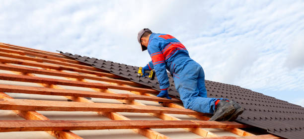 Best Roof Maintenance  in Phoenix, IL
